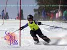 Image ID is DSC_2406.jpg