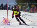 Image ID is DSC_2422.jpg