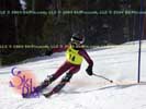 Image ID is DSC_2423.jpg