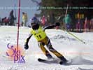 Image ID is DSC_2424.jpg