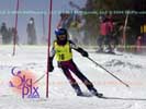 Image ID is DSC_2426.jpg