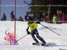 Image ID is DSC_2428.jpg