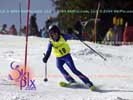 Image ID is DSC_2432.jpg