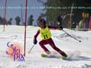 Image ID is DSC_2436.jpg