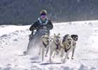 Image ID is DSC_9112.jpg