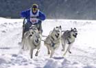 Image ID is DSC_9138.jpg